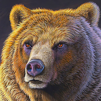 bear wallpaper
