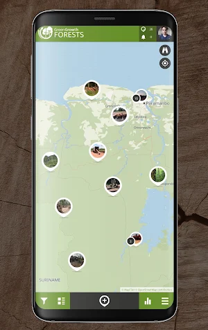 Green Growth Forests - Protect our trees Screenshot 1