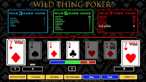 Wild Thing Poker Screenshot 3