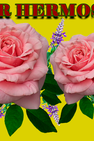 Frases-rosas de amor hermosas Screenshot 2