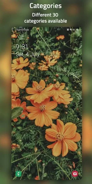 Mobile Wallpapers - 4k & HD Wa Screenshot 2