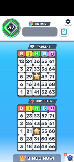 Bingo Loto Online Screenshot 3