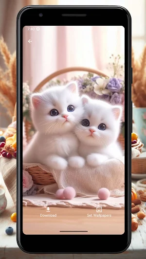 Wallpaper Kucing Lucu dan Imut Screenshot 1