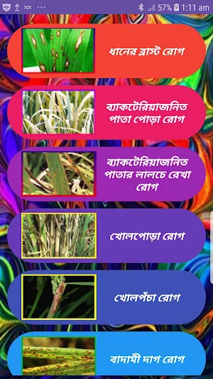ধানের রোগ ~ Paddy Diseases Screenshot 0