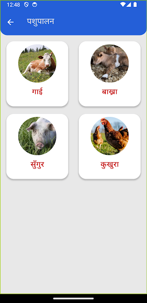 LisankhuApp Screenshot 1