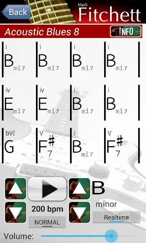 Pro Band Blues #4 Screenshot 2