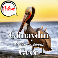 Turkish Good Morning to Night
