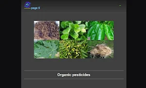 eggplant cultivation Screenshot 3