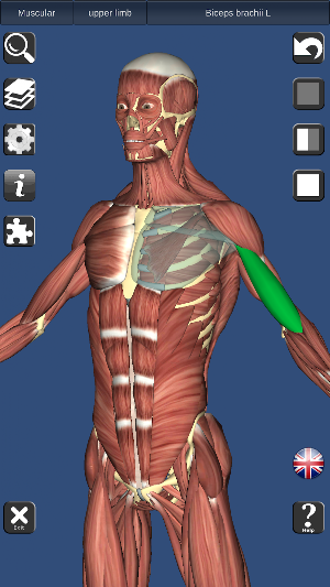 3D Bones and Organs (Anatomy) Screenshot 0