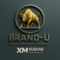 Brand U FX – Learn Forex Fast