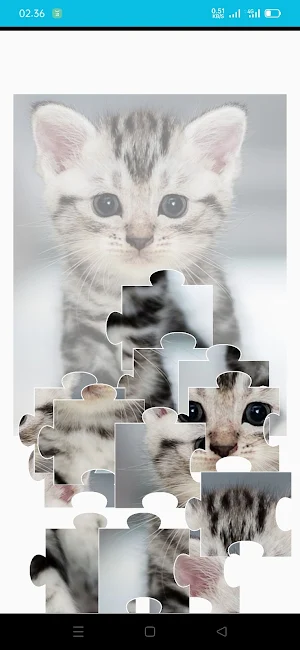 Puzzle For Adult Game Cat Screenshot 3