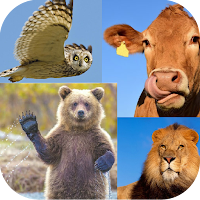 Животные на Башкирском