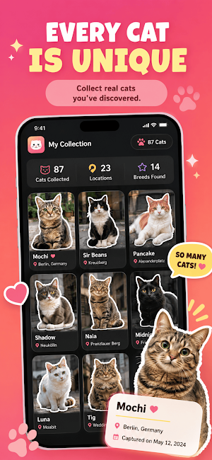 Catch Cat - Catemon Screenshot 1