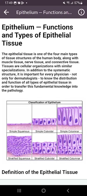 Human Histology Screenshot 2