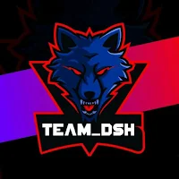 TeamDsh Website