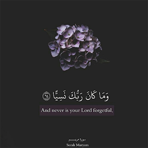 Relaxing QURAN Recitation Screenshot 0