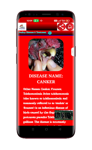 Poultry Diseases & Treatment Screenshot 0