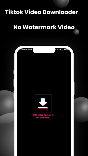 Tiktok Video Downloader Screenshot 0