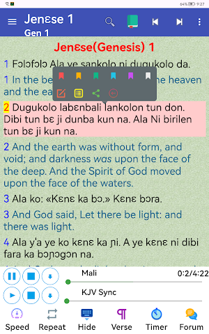 Bambara English Audio Bible Screenshot 0