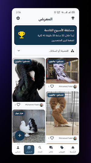 مجتمع الغواة Screenshot 1