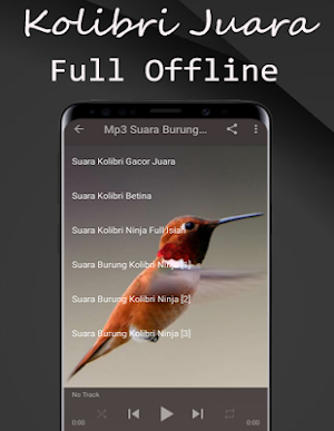 Suara Burung Kolibri Pikat Screenshot 3