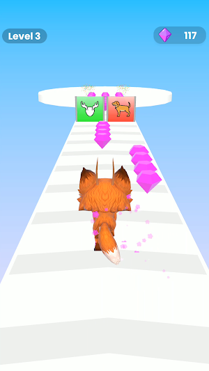 Animal Evolution Screenshot 0