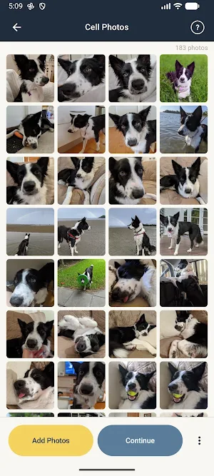 Photo Mosaic Maker Screenshot 3