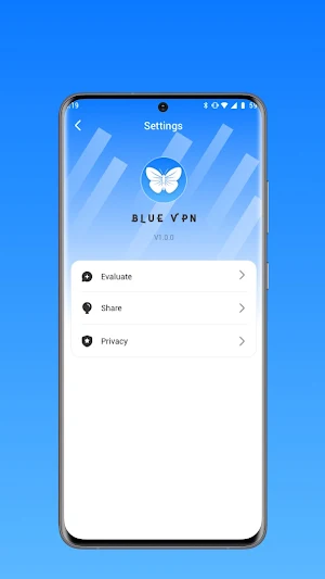 Blue VPN Screenshot 3