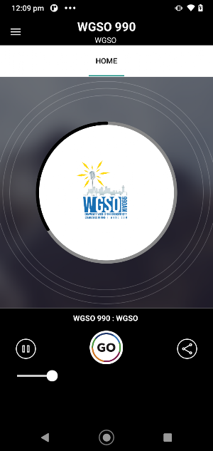 WGSO 990AM Screenshot 0