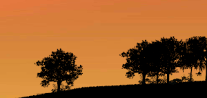 Fionas Sunset-Road To The Home Screenshot 1