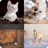 Guess the name of the animal
