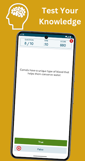 ChildQuest: Play and Learn Screenshot 3