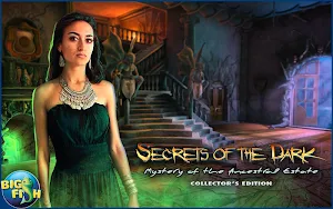 Secrets of the Dark: The Ancestral Estate Screenshot 3