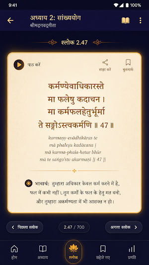Bhagavad Gita Audio - Hindi Screenshot 1