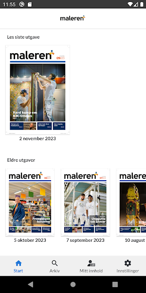 Maleren Screenshot 0