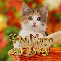 Guten Morgen Dienstag