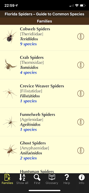 Florida Spiders Screenshot 0