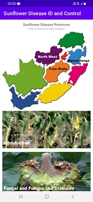 SDIC - Sunflower Diseases Screenshot 0