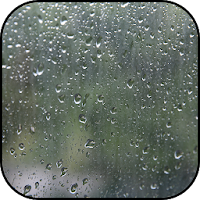 Rain wallpapers