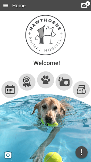 Hawthorne Animal Hospital Screenshot 0