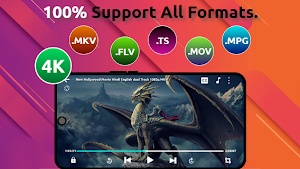 FLV Video Player - mVid Player Screenshot 0