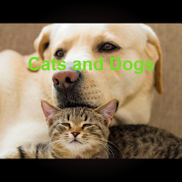 Cats and Dog Bulk and Budget m