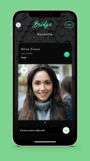 Bridge-App Screenshot 2