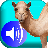Proverbes en tamajeq audio vo2