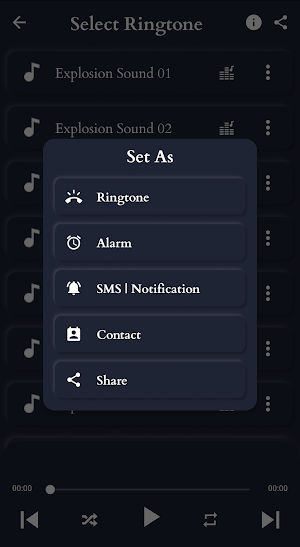 Explosion Sounds Screenshot 2