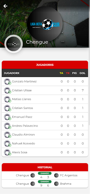 LIGA UEFA SUR Screenshot 1