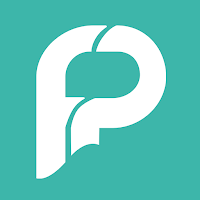 Festival Pro