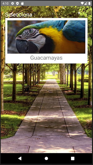 Rompecabezas de Guacamayas Screenshot 0