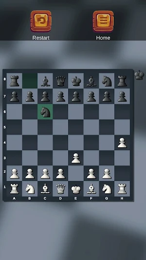 Chess Skill Game Screenshot 1