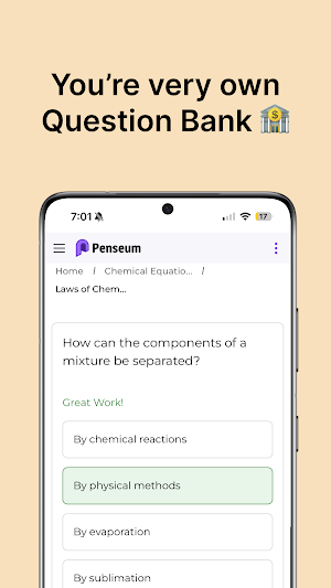 Penseum Screenshot 2